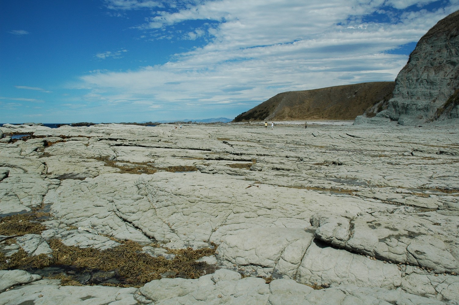 227   31 01   Kaikoura